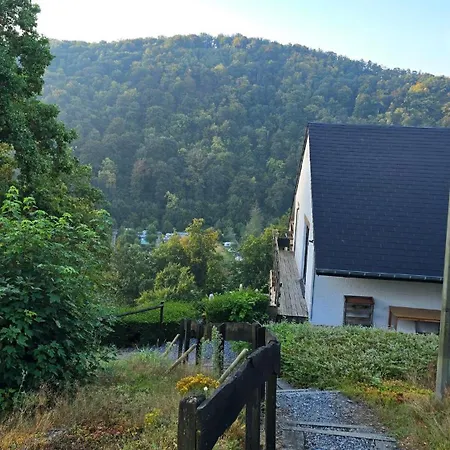 Vida Feliz, Cosy, Au Coeur Des Ardennes Belges, Dogfriendly דירה *