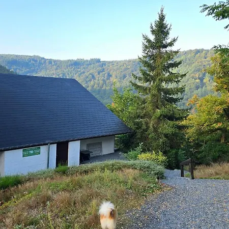 דירה Vida Feliz, Cosy, Au Coeur Des Ardennes Belges, Dogfriendly *