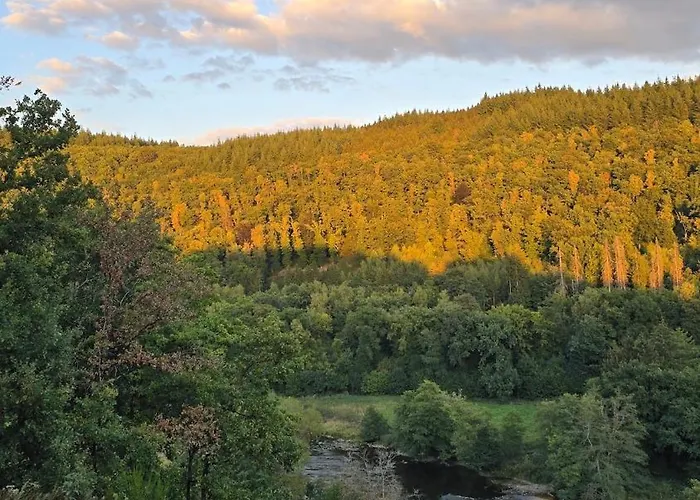 Vida Feliz, Au Coeur De La Nature *