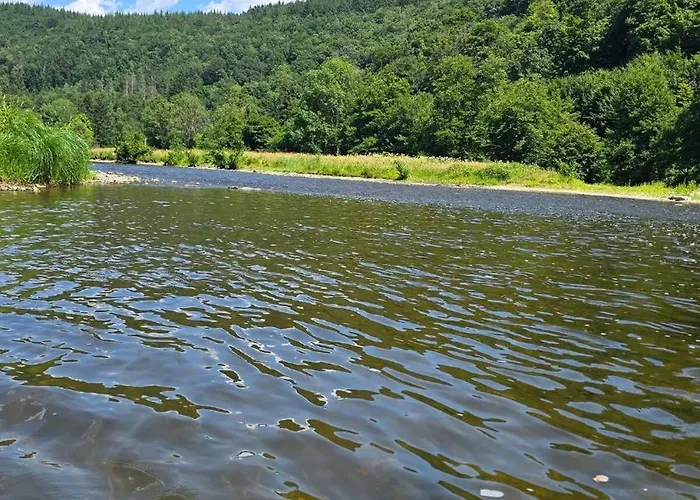 Vida Feliz, Au Coeur De La Nature Appartement